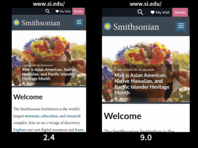 A still from a video that compares two loading experiences for the Smithsonian’s website.