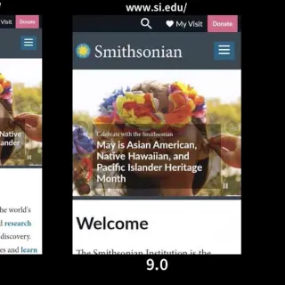 Smithsonian Page Speed Comparison Screenshots