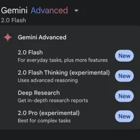 Gemini 2.0 Flash Screenshot