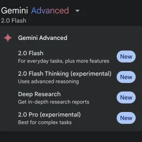Gemini 2.0 Flash Screenshot