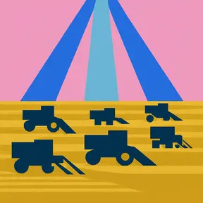 Harvesters harvesting wheat