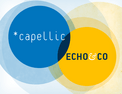 Venn diagram with Capellic and Echo logos