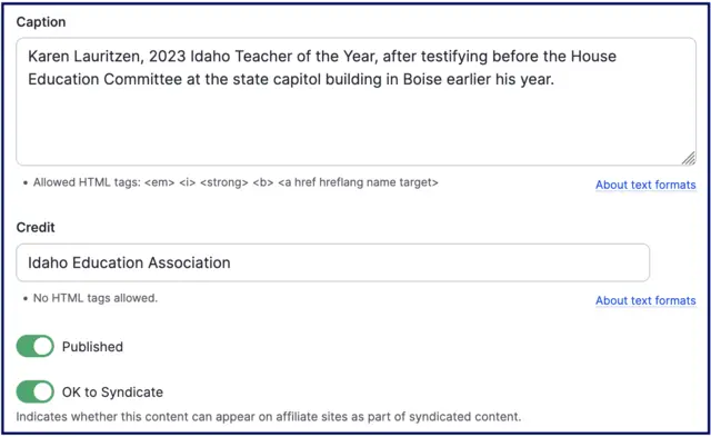 The editor view of images includes a green "OK to syndicate" checkbox